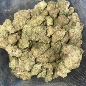 Jelly Biscuit (Hybrid)