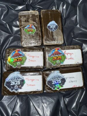Volcano Farm 2k25 Hash