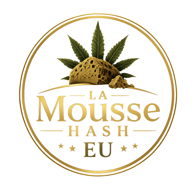 Lamoussehasheu.com